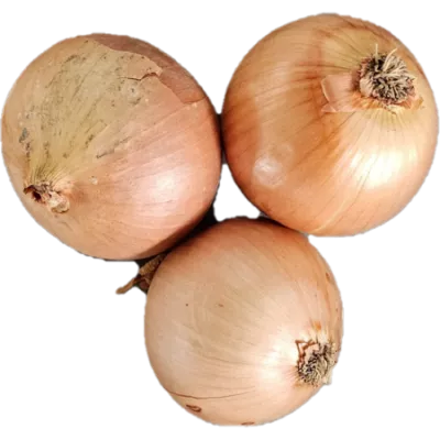 Flt 1kg Oignon Jaune Gam