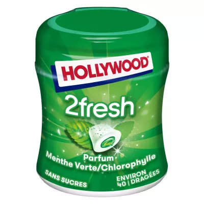 砂糖なしのグリーンミントチューインガム 2フレッシュ 88g - ハリウッド