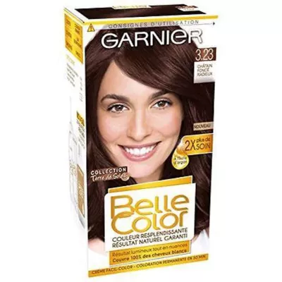 Coloration permanente 3.23 châtain foncé radieux - GARNIER