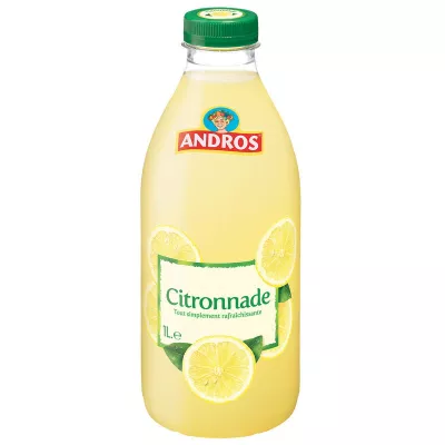 Andros Citronnade Pet 1l