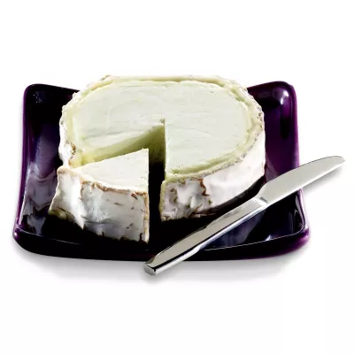 ログ オブ オーガニック ゴート チーズ Aff 21% 150g - TRAIT BIO