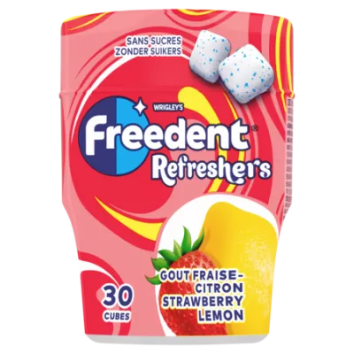 67g Erfrischungsgetränk Menthe Fraiche - FREEDENT