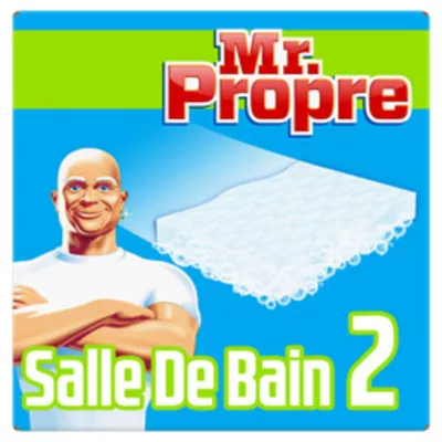 Mr Propre Gomme Sdb X2
