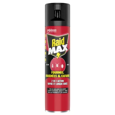 Insetticida Aerosol 2in1 Formiche Ragni E Scarafaggi 400ml - Raid