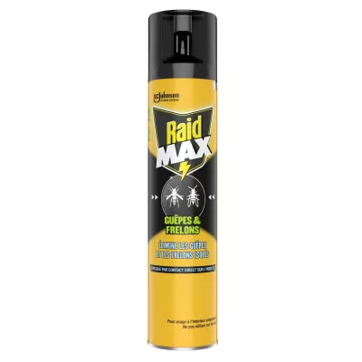 Insetticida Aerosol per Vespe e Calabroni 300ml - Raid