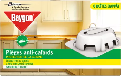 Baygon Pieges Cafards X6