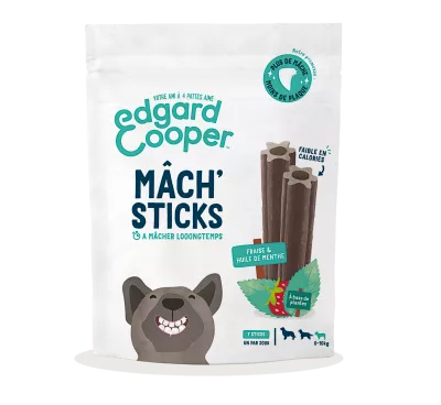 Dental Fraise Menthe S 105g