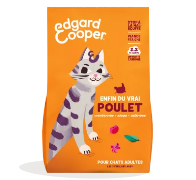Croq Chat Plet Fresco 750g