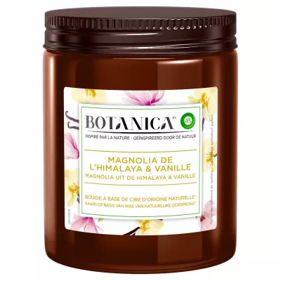 Botanica-Kerze mit Magnolien-Vanille-Duft - AIR WICK