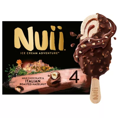 Chocolate Hazelnut Ice Cream X4 - Nuii