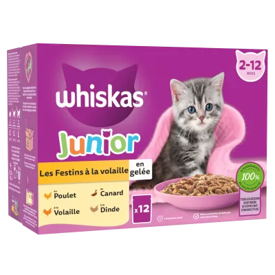 Whis Sf Volail Chaton 12x85g