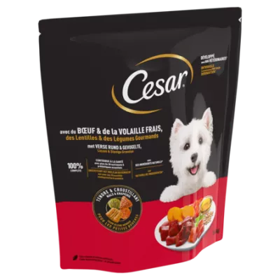 1 4kg Cesar Croquettes Boeuf V