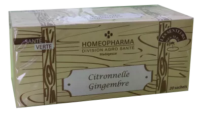 Herbal teas - Infusions Scent of the Islands range Lemongrass-ginger Box 20 Infusettes - HOMEOPHARMA