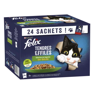 Felix Tendre 凝胶腿 24x85g