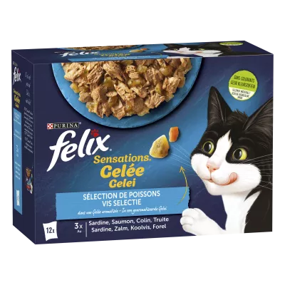 Felix Sensat Gelee Ragazzo 12x85