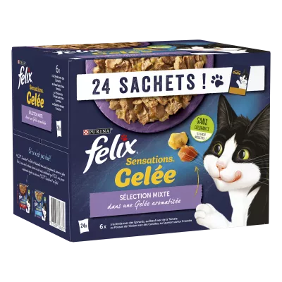 فيليكس سينسا جل مختلط 24x85 جم