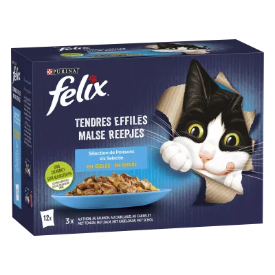 Felix Tendre Eff Boy 12x85g