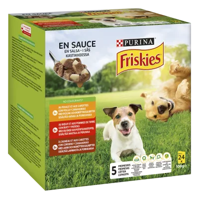 Friskies Cn 多片 24x100g