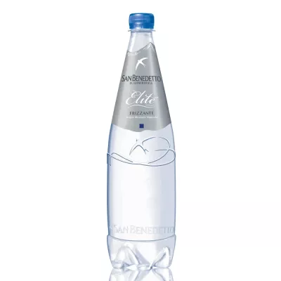 Haustier 1l Wassergas San Benedetto