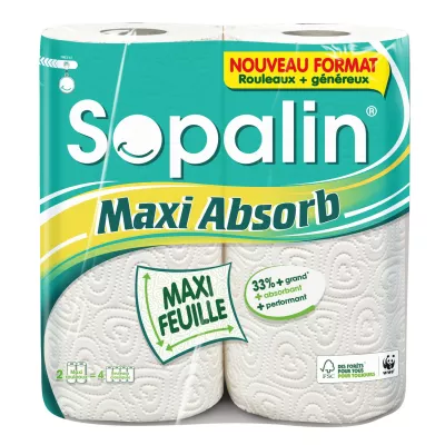 Essuie tout maxi absorb 2=4rl - SOPALIN
