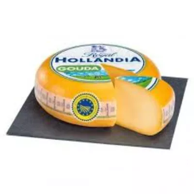 Kg Gouda Jovem Macho