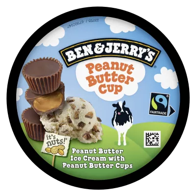 Manteiga de amendoim Glace 425g - BEN & JERRY'S
