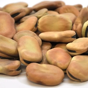 Beans Bolivia 9/11 25kg - LEGULMOR