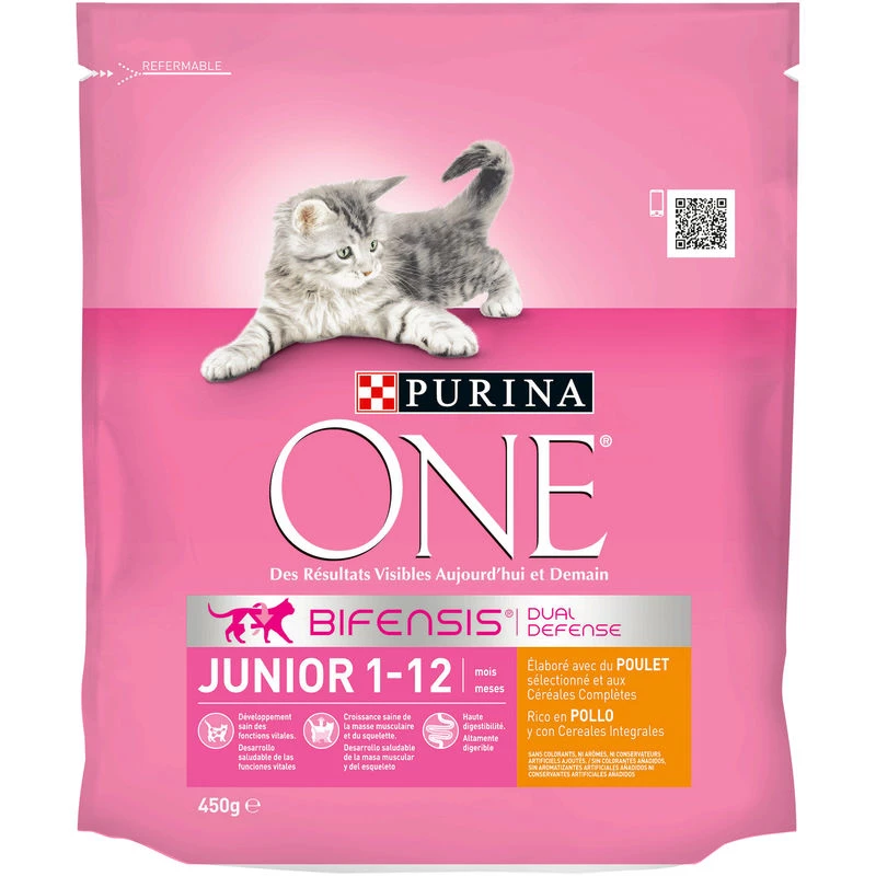 One Junior cibo secco per gatti, pollo e cereali 450 g - PURINA