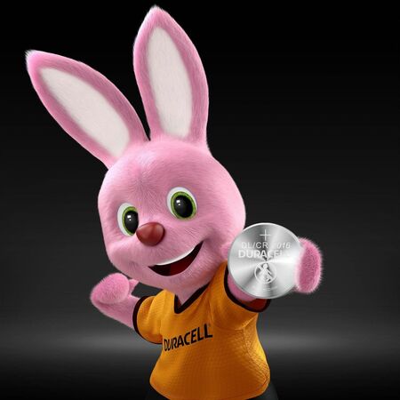 Piles Spe 2032 Duracell X6