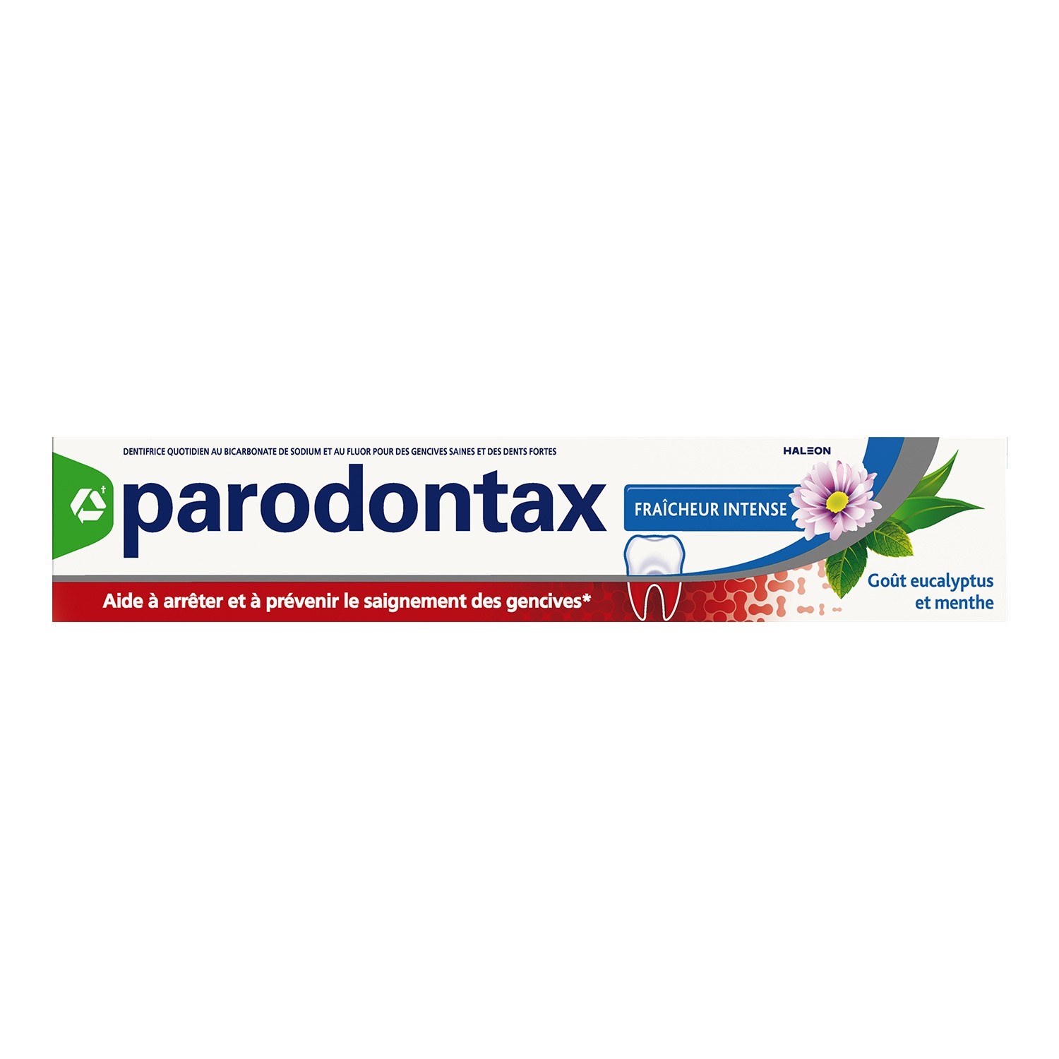 Dentifrice Renforce & Protège 75 ml - PARODONTAX
