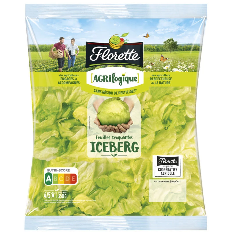 Salade Iceberg Agrilogique 350