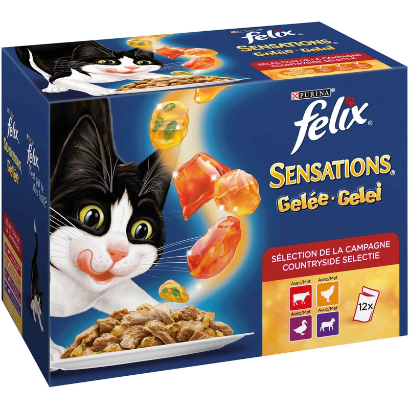 Pâtée pour chat aux viandes Felix 12x100g - PURINA
