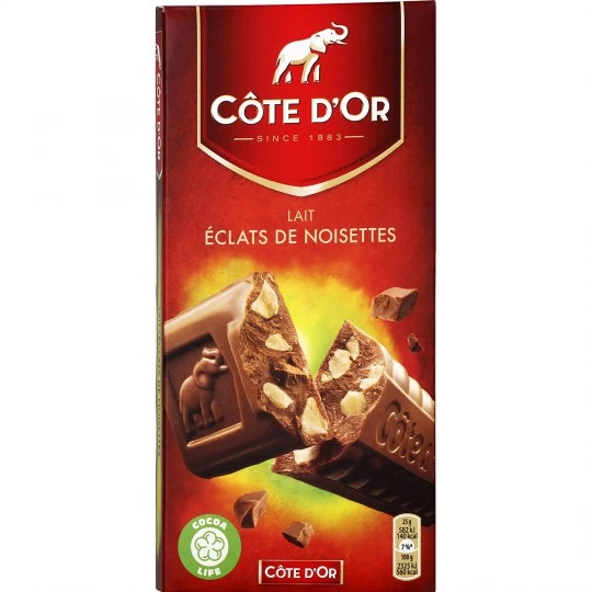 Tablette de chocolat au lait Éclats noisettes 200g - CÔTE D'OR