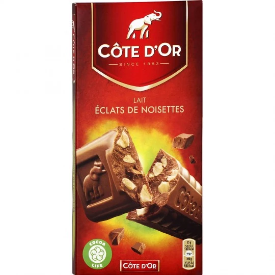 Tavoletta di cioccolato al latte Pezzi di nocciole 200g - CÔTE D'OR