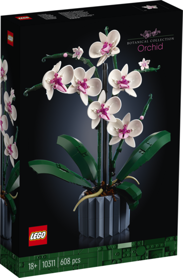 L Orchidee 10311