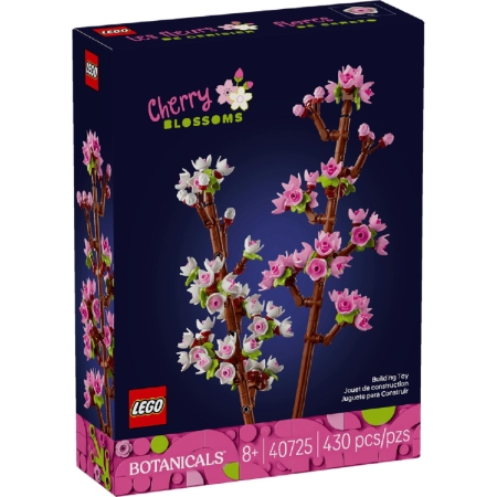 Les Fleurs De Cerisiers