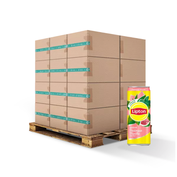 Ice Tea Pastèque Menthe 33cl X24 - LIPTON