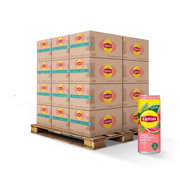 冰茶粘贴Menthe 33cl FR X24 Slim - LIPTON