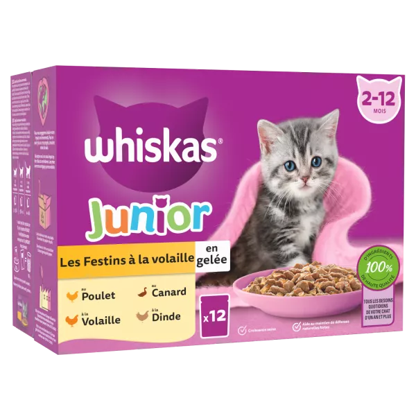 Whis Sf Volail Chaton 12x85g