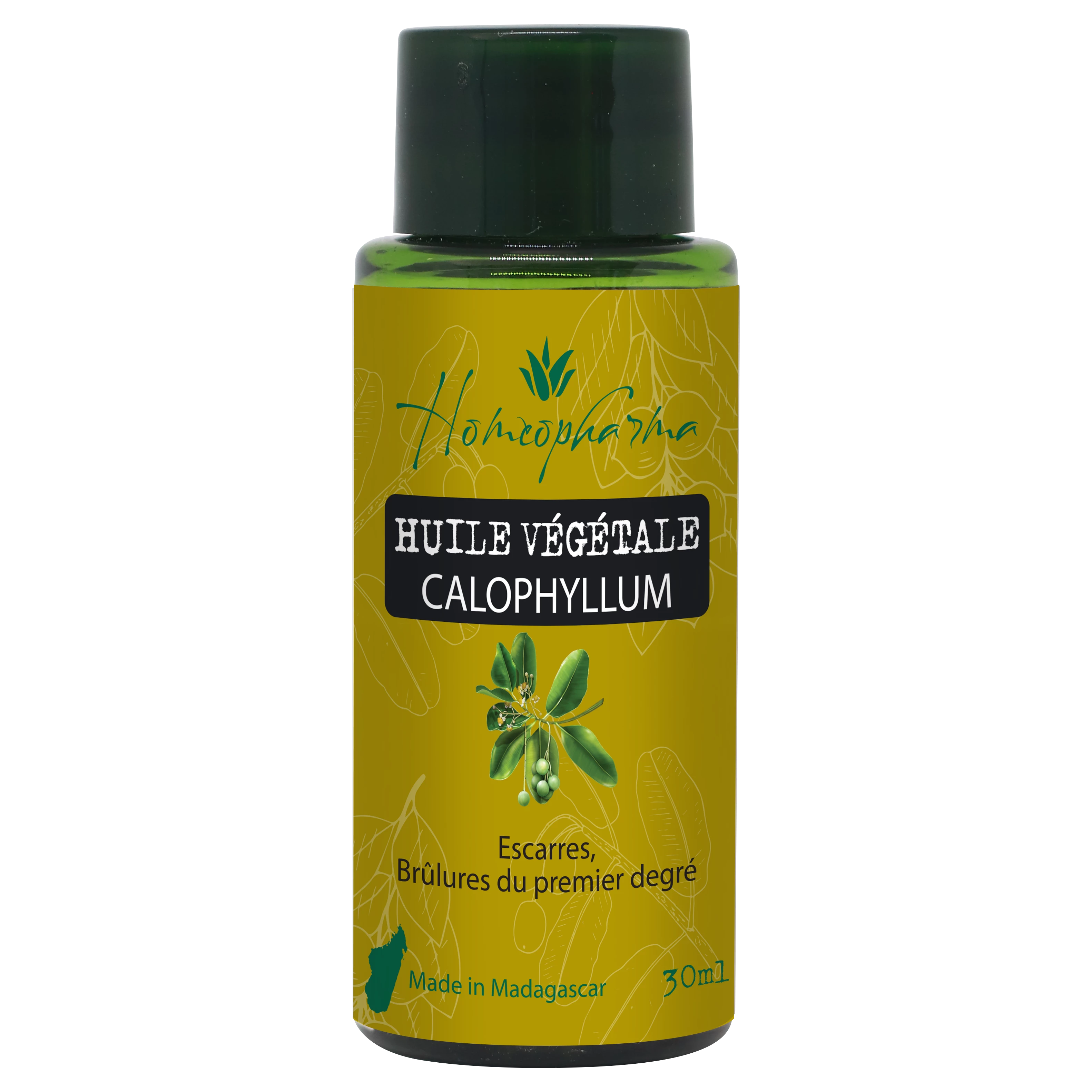 Huile Calophyllum 30 ml - هوموفارما