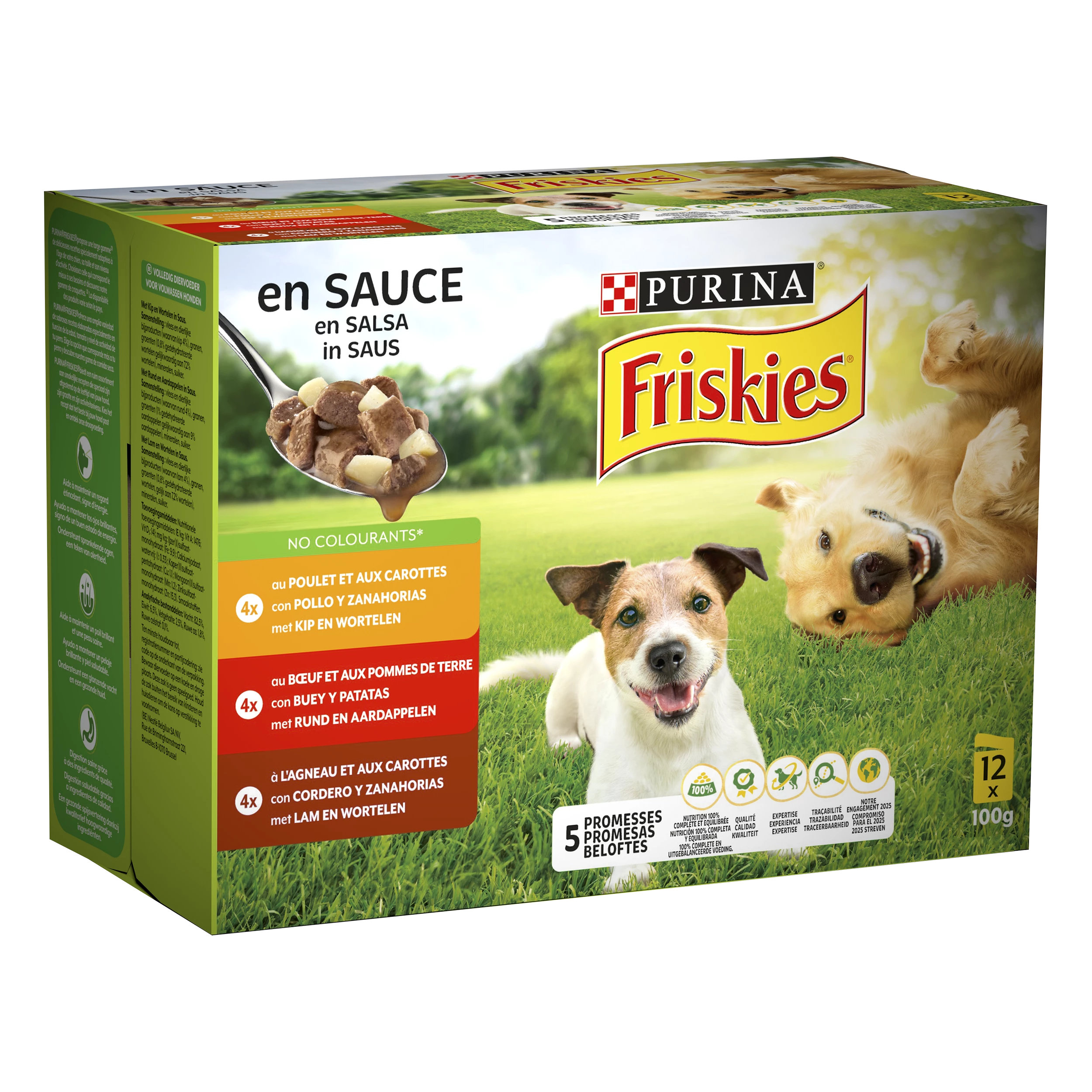 Friskies Cachorro 12x100g Em Molho