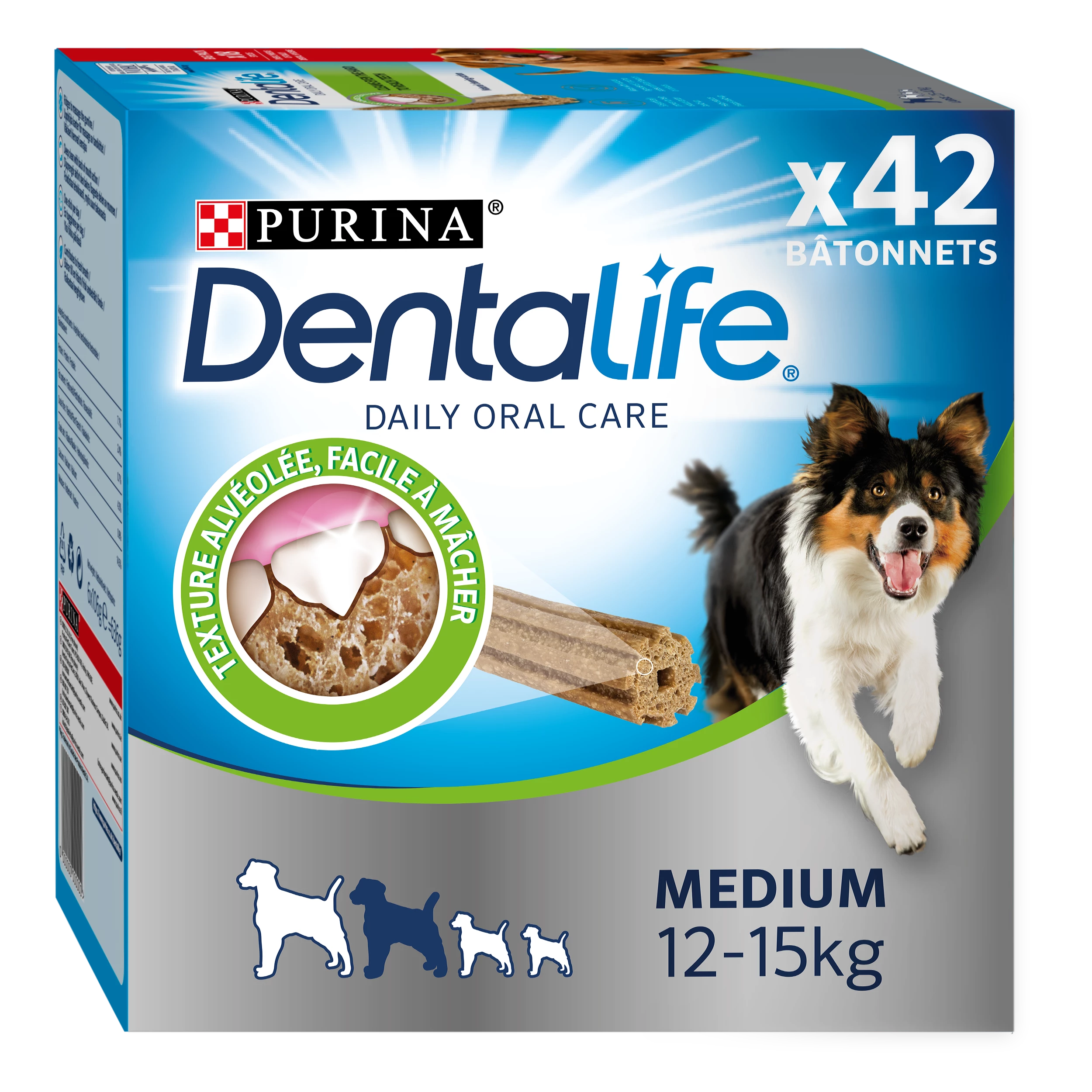 Dentalife 多件装中号 966