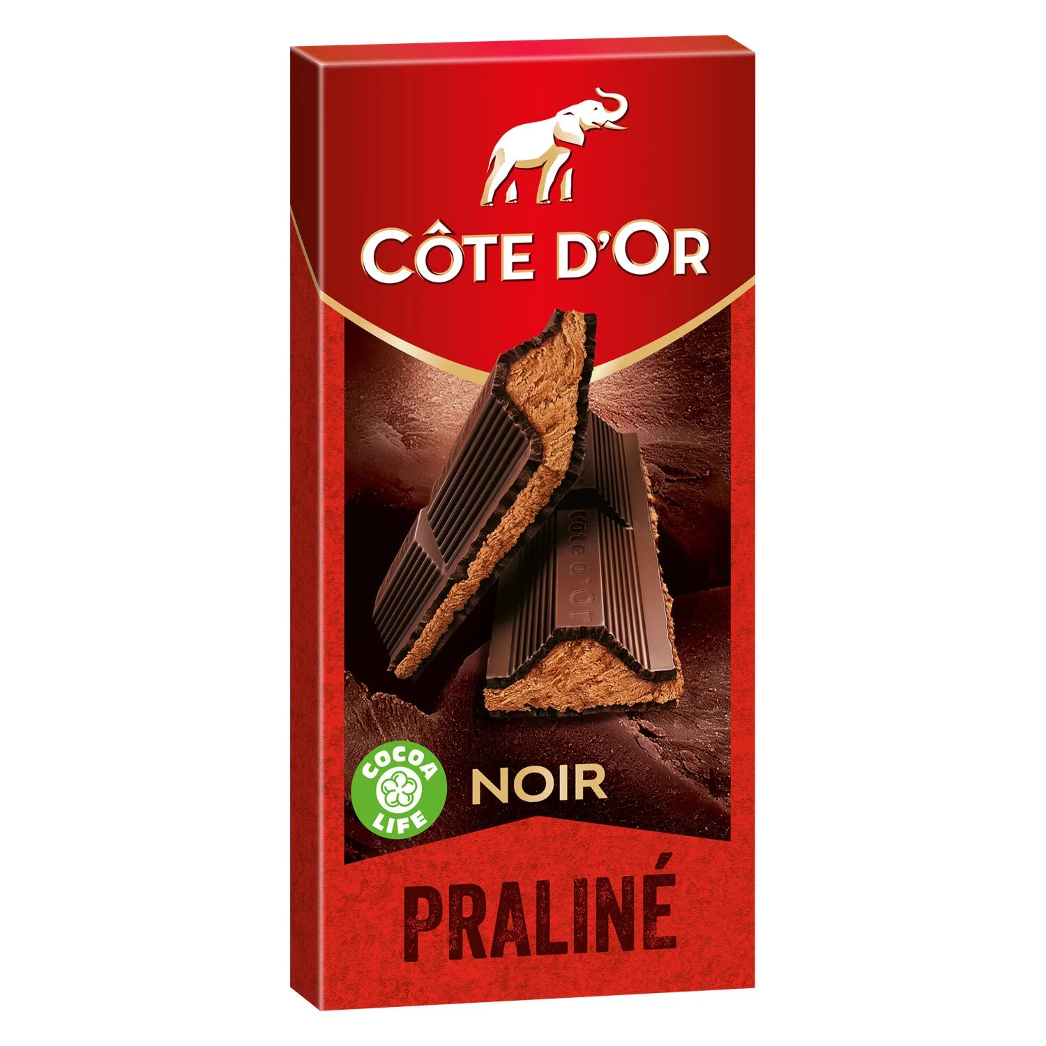 Dark Chocolate Bar Filled with Praline 200g - Cote D'or