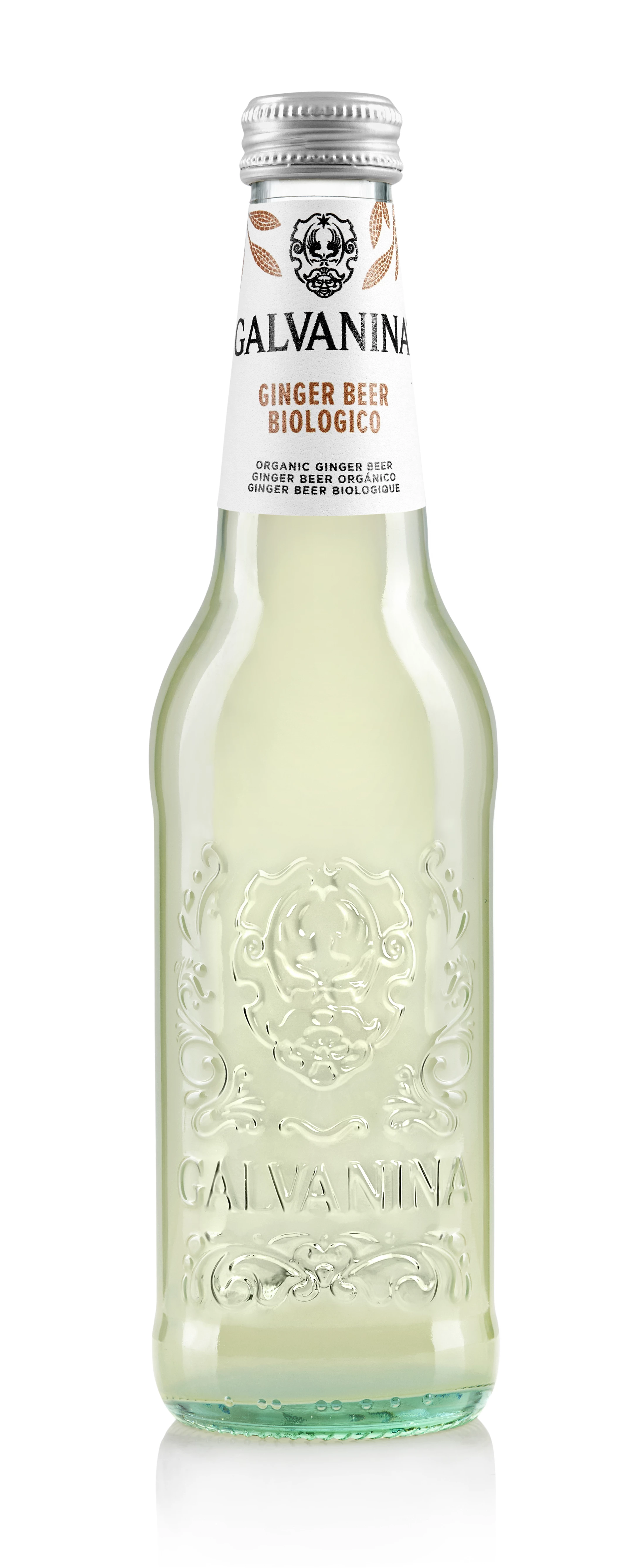 Ginger Beer Bio 355ml - GALVANINA