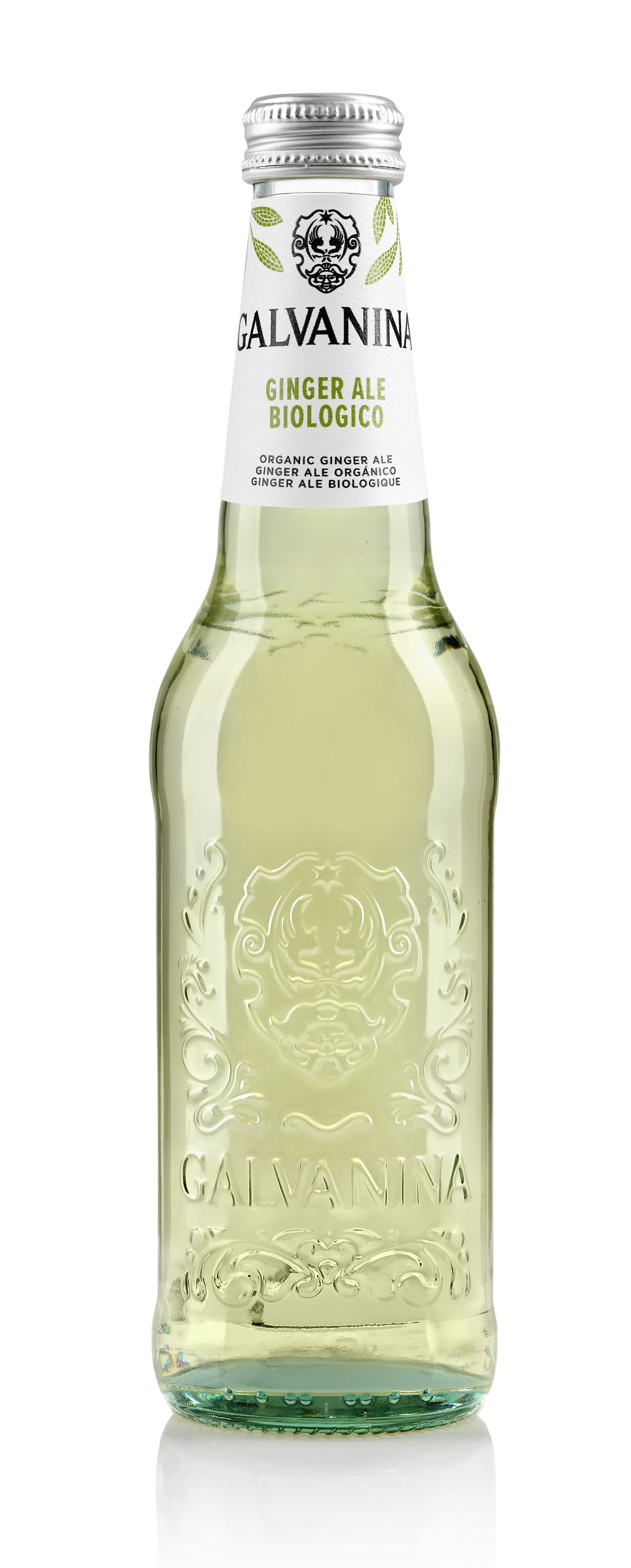Ginger Ale Organic 355ml - GALVANINA