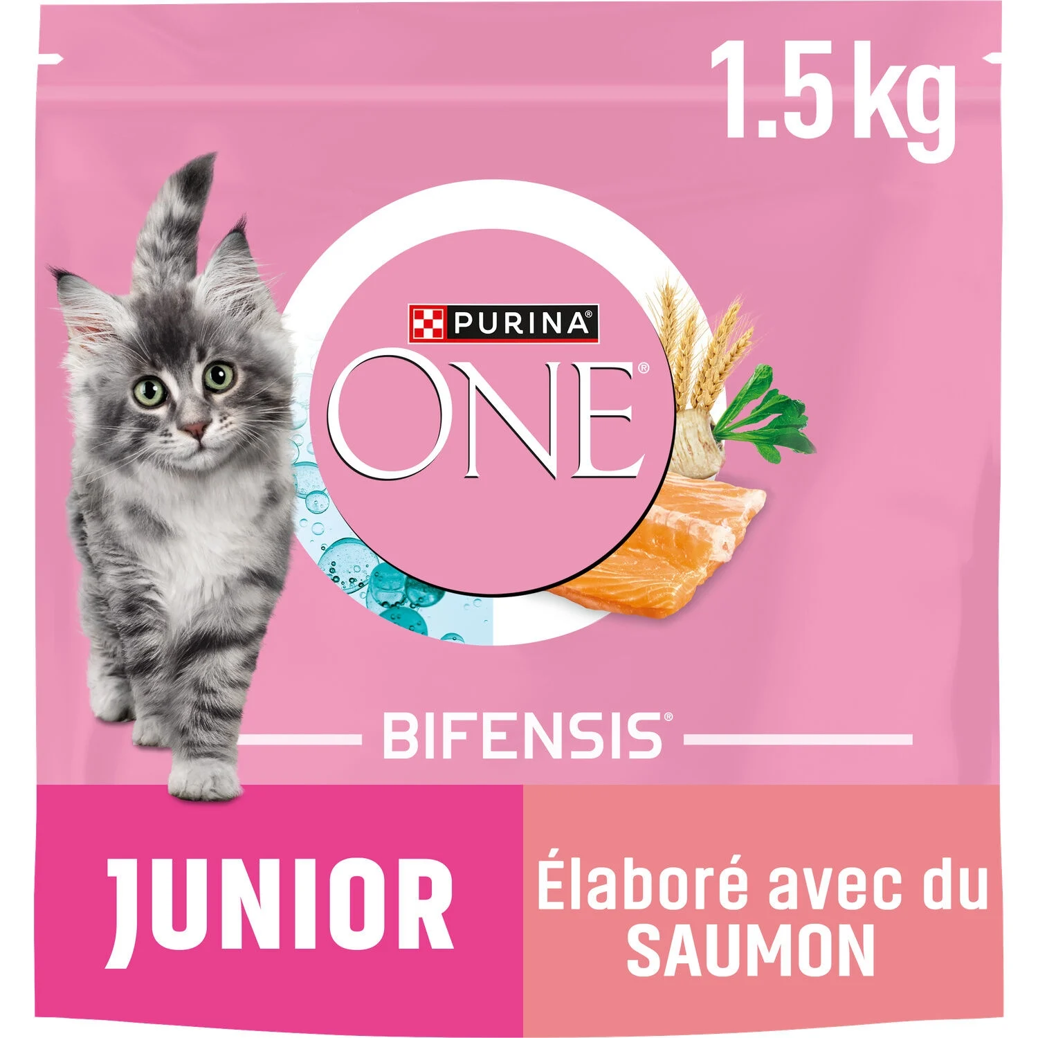 كروكيت للقطط الصغيرة من 1 إلى 12 شهر مع سمك السلمون 1.5 كجم - PURINA ONE