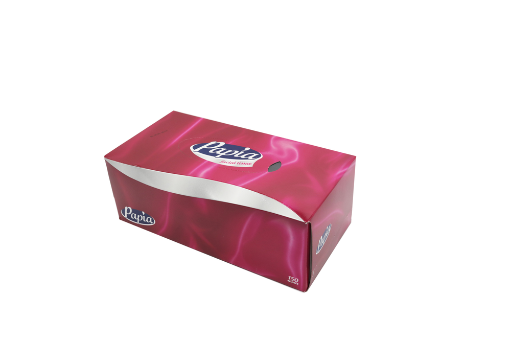 Fazzoletti di carta 100pz - PAPIA