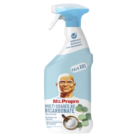 Mr Propre Spray Bircarb 800ml
