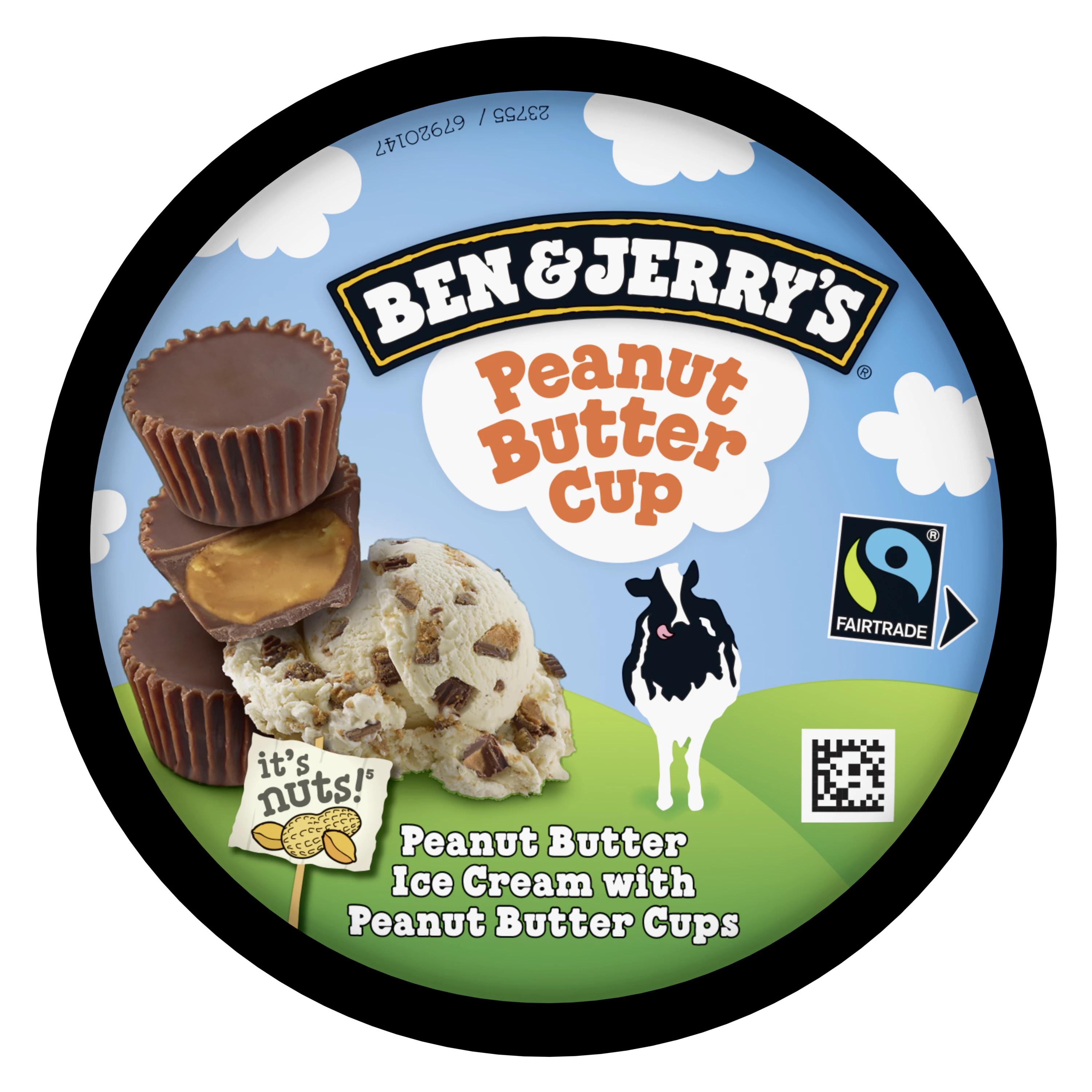 Glaces pindakaas 425g - BEN & JERRY'S