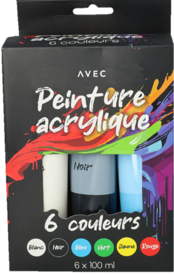 Set De Peinture 6x100ml